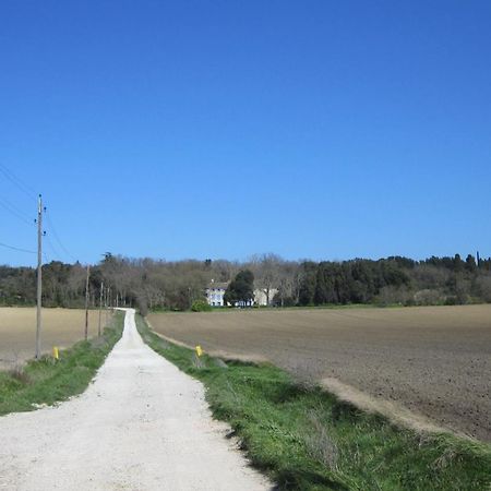 Chambres D'Hotes Domaine Saint-Joly Lasbordes ภายนอก รูปภาพ