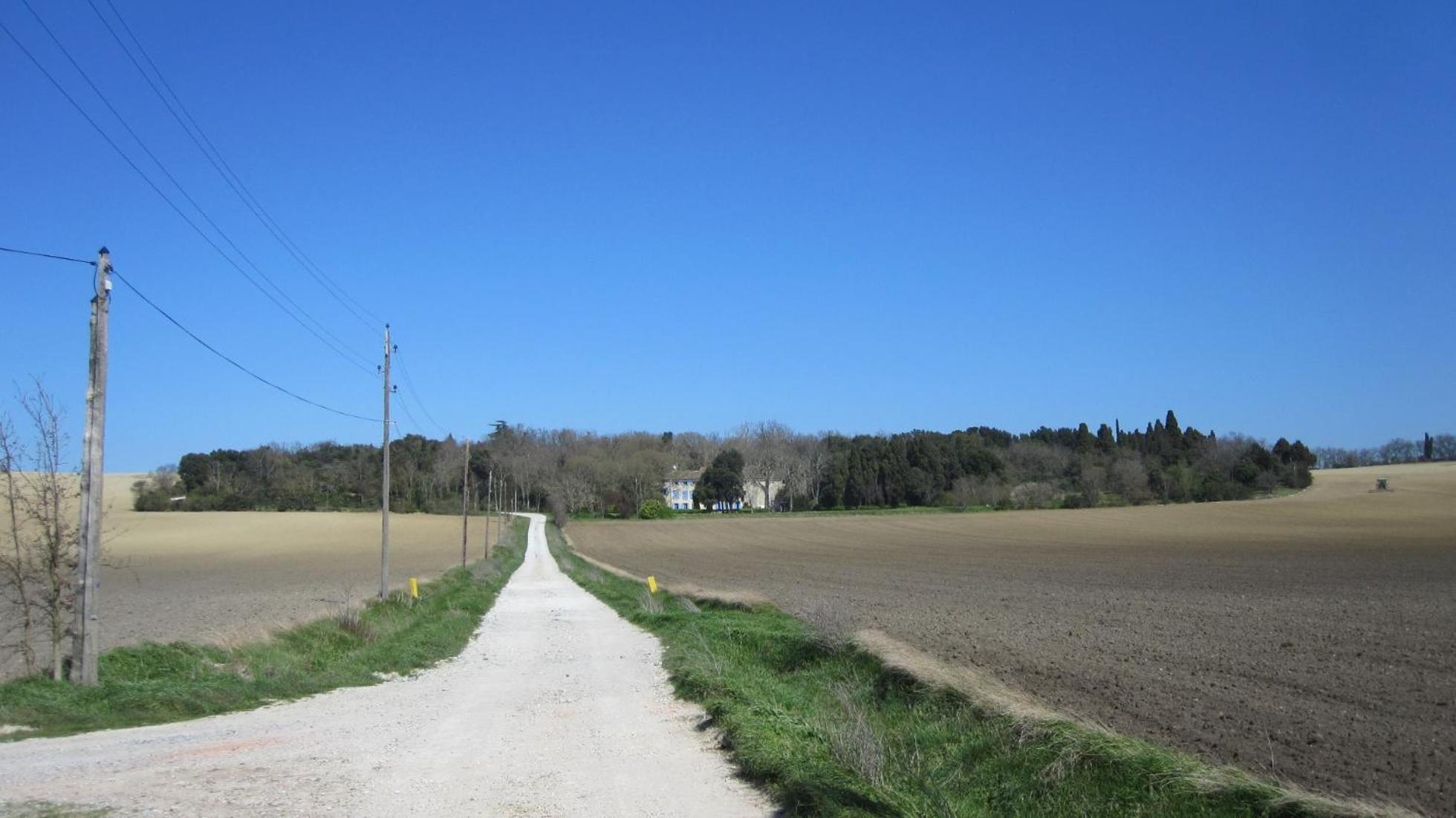 Chambres D'Hotes Domaine Saint-Joly Lasbordes ภายนอก รูปภาพ